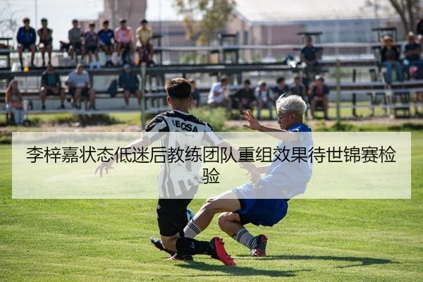李梓嘉状态低迷后教练团队重组效果待世锦赛检验 - yaxin